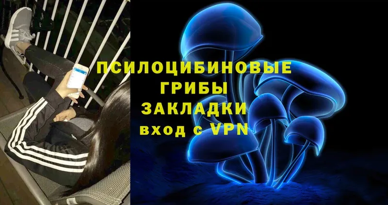 Галлюциногенные грибы мицелий Мытищи